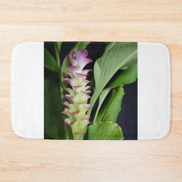Item preview, Siam tulip is flowering plant, Curcuma sp. of the ginger family no. 6 designed and sold by greengoodnich.