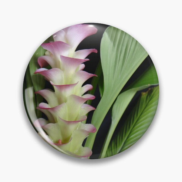 Item preview, Siam tulip is flowering plant, Curcuma sp. of the ginger family no. 6 designed and sold by greengoodnich.