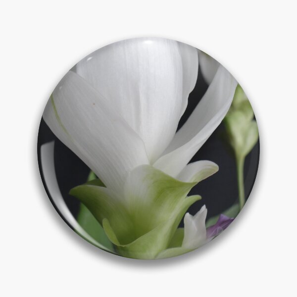 Item preview, Siam tulip is flowering plant, Curcuma sp. of the ginger family no. 7 designed and sold by greengoodnich.