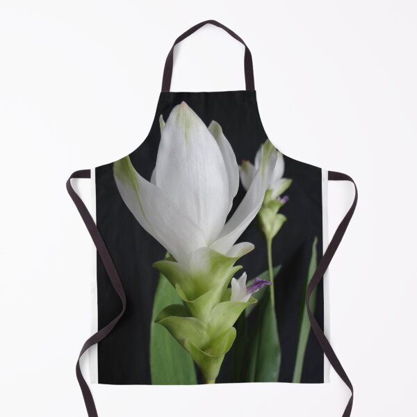 Item preview, Siam tulip is flowering plant, Curcuma sp. of the ginger family no. 7 designed and sold by greengoodnich.