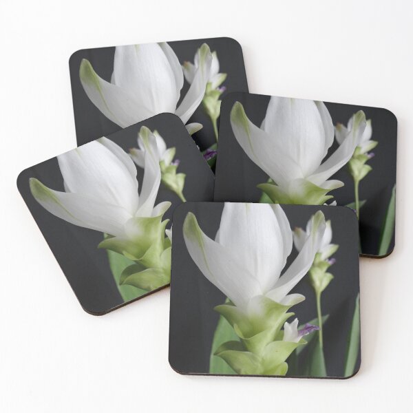 Item preview, Siam tulip is flowering plant, Curcuma sp. of the ginger family no. 7 designed and sold by greengoodnich.