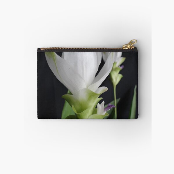 Artikelvorschau, Siam-Tulpe ist eine blühende Pflanze, Curcuma sp. der Ingwergewächse Nr. 7 entworfen und verkauft von greengoodnich.