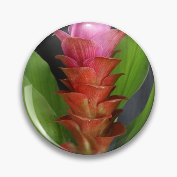 Item preview, Siam tulip is flowering plant, Curcuma sp. of the ginger family no. 9 designed and sold by greengoodnich.
