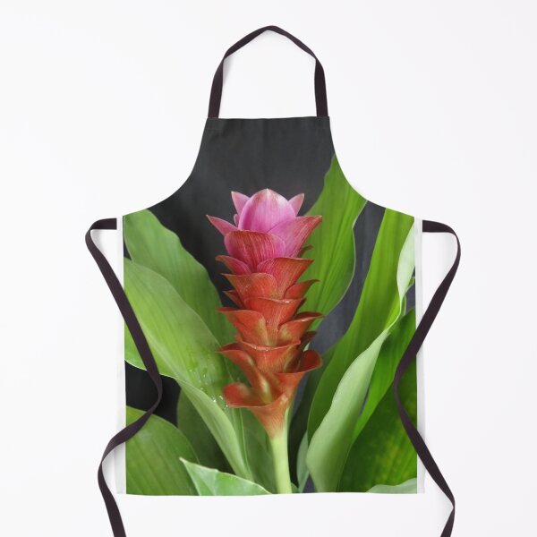 Item preview, Siam tulip is flowering plant, Curcuma sp. of the ginger family no. 9 designed and sold by greengoodnich.