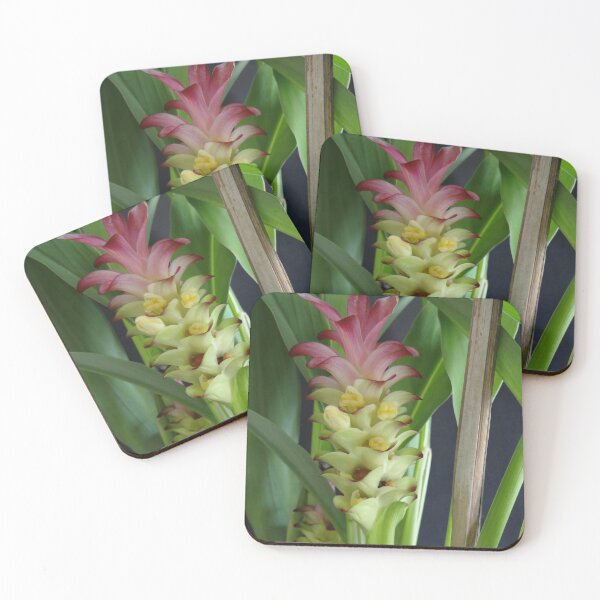 Item preview, Siam tulip is flowering plant, Curcuma sp. of the ginger family no. 10 designed and sold by greengoodnich.