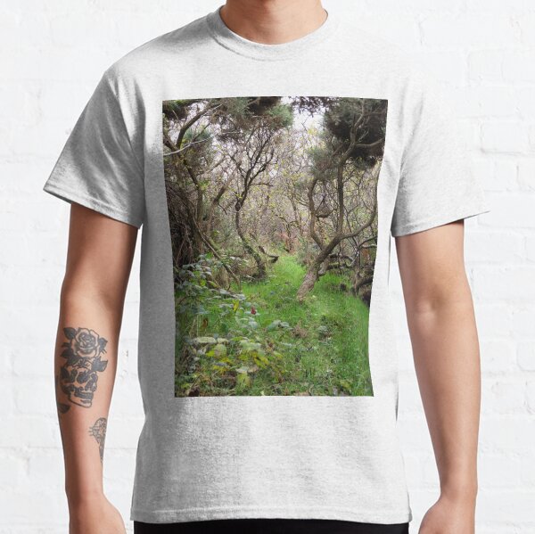 Path to adventure Classic T-Shirt