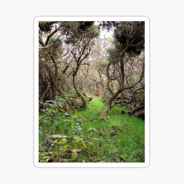 Path to adventure Sticker
