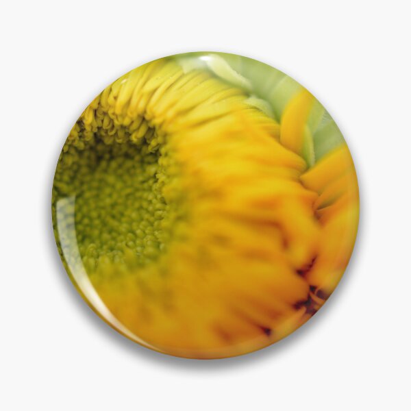 Aperçu de l'œuvre morph de tournesol créée et vendue par Adam Lo Cicero.