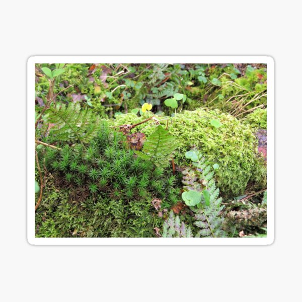 50 shades of green Sticker