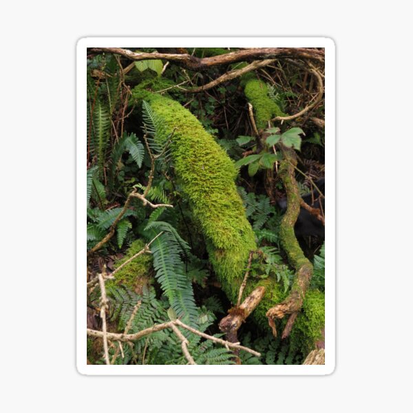 Riverside greenery Sticker