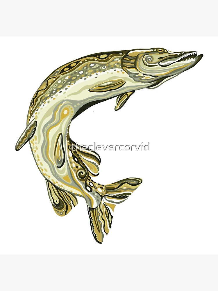 Jack Fish Art Board Print for Sale by theclevercorvid