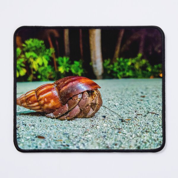 Item preview, Beach Crabs of Maldives designed and sold by Merigold.