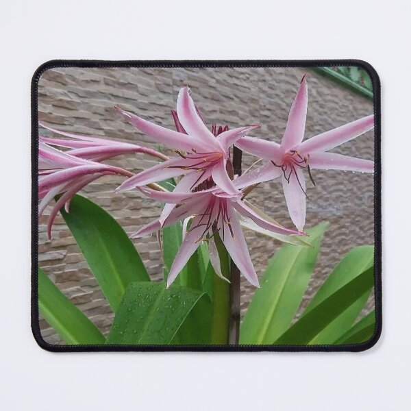 Item preview, Best Gift For Flowers Lover designed and sold by The Happiness Market .