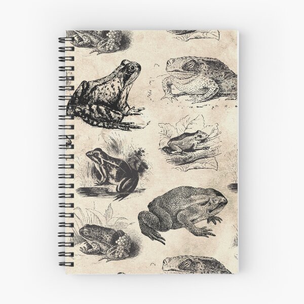 Item preview, Frogcore Aesthetic Frog Illustration Vintage  designed and sold by Ima-Shel-Mae.