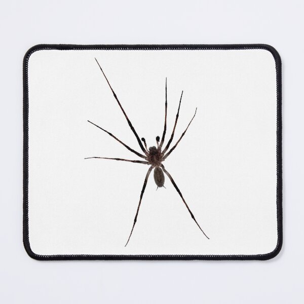 Item preview, Along came a Spider designed and sold by ernest123.