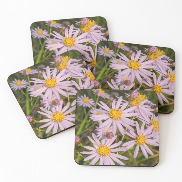 Item preview, Aster designed and sold by TheRealDanniX.