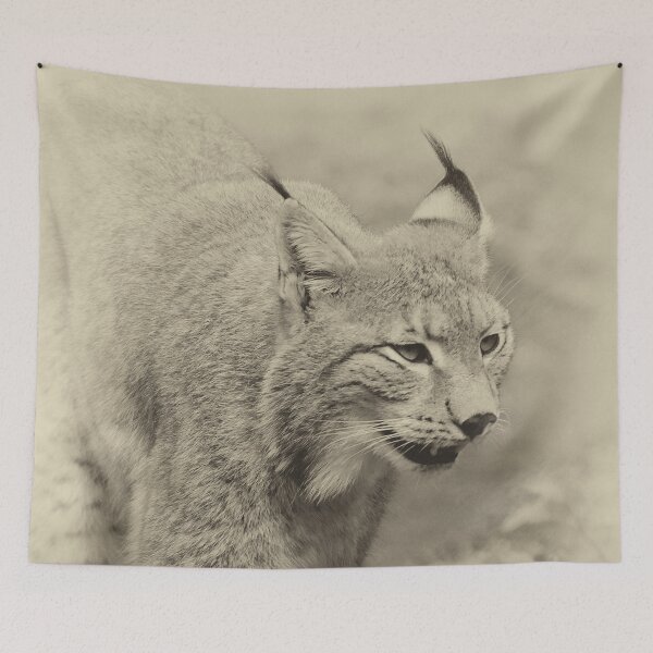 Item preview, Beautiful lynx  designed and sold by MarionsArt.