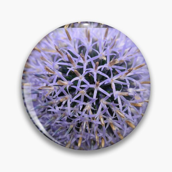Item preview, Small Globe Thistle 7 designed and sold by Robert Alsop.