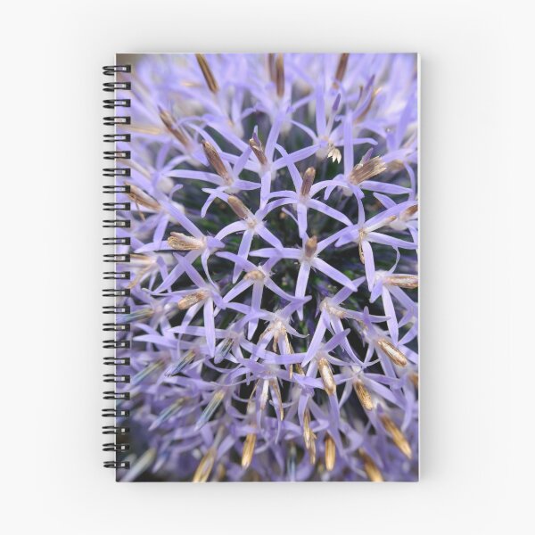 Item preview, Small Globe Thistle 7 designed and sold by Robert Alsop.