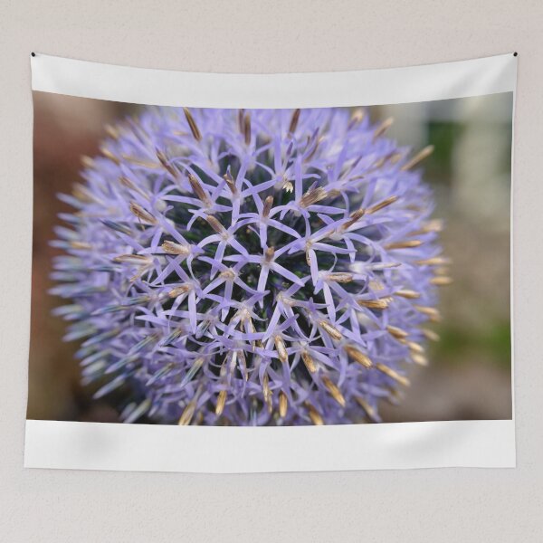 Item preview, Small Globe Thistle 7 designed and sold by Robert Alsop.