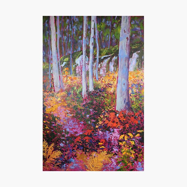 Wilderness Tapestry Photographic Print