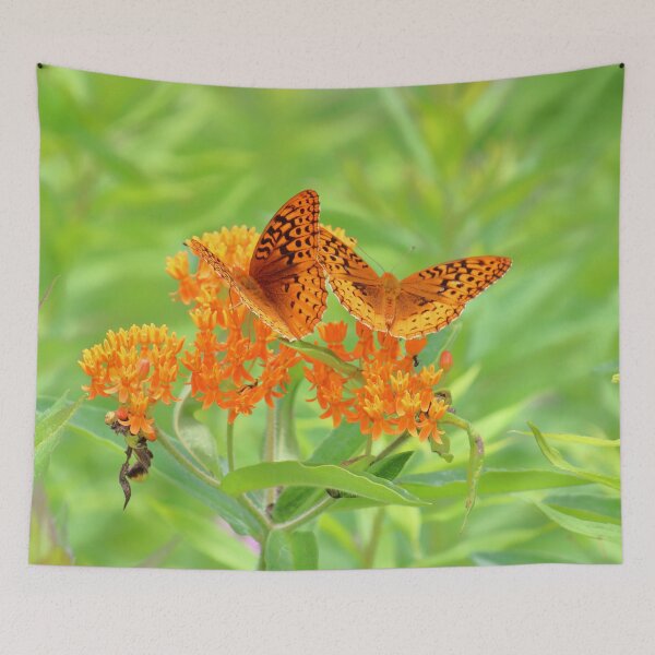 Item preview, Orange on Orange Butterflies    |    Nature designed and sold by RedHandedOD.