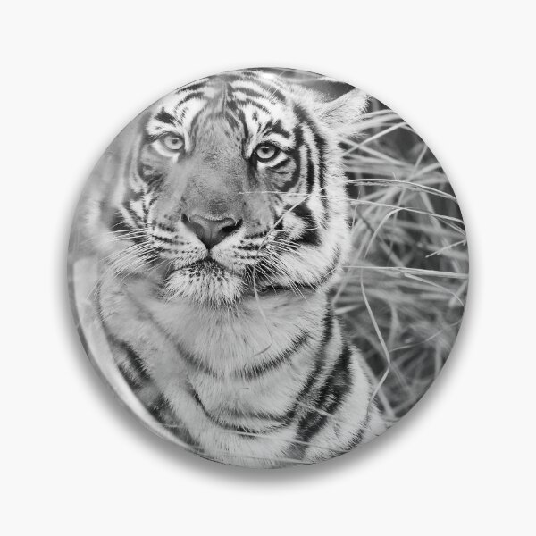 Item preview, Mesmerizing Scrutiny designed and sold by Puttaswamy Ravishankar.