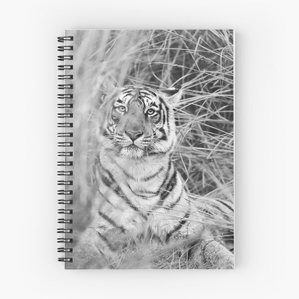 Item preview, Mesmerizing Scrutiny designed and sold by Puttaswamy Ravishankar.