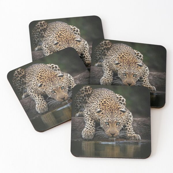 Item preview, big cat and water designed and sold by ORISES.