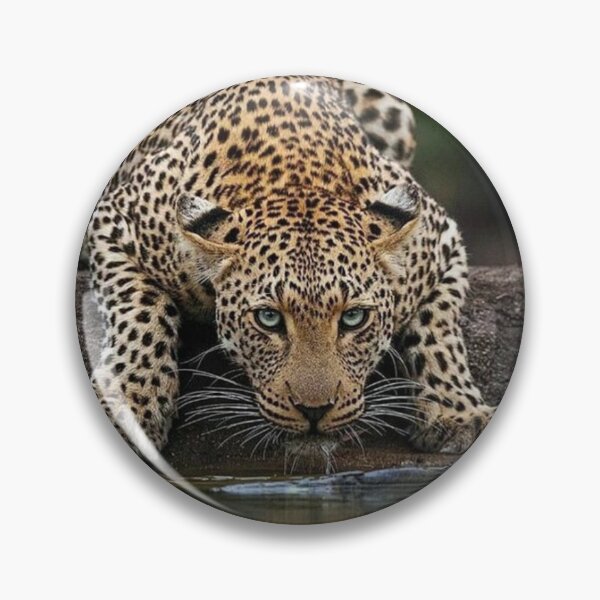Item preview, big cat and water designed and sold by ORISES.