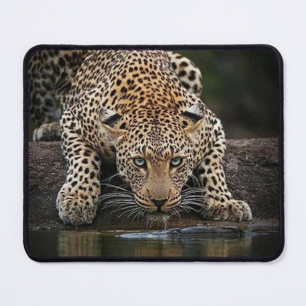 Item preview, big cat and water designed and sold by ORISES.