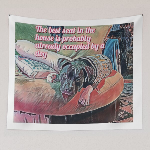 Item preview, Blue Nose Pittie en el mejor asiento de la Cámara designed and sold by epicevolution.