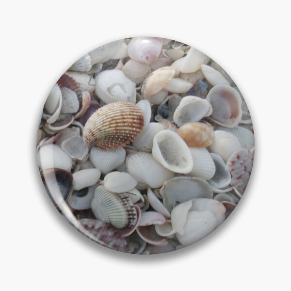 Item preview, Shells!Shells!Shells! designed and sold by rosiebrown.