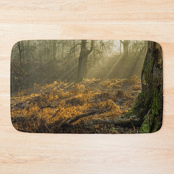 Item preview, Early Morning Forest of Dean Gloucestershire designed and sold by Cameranick.