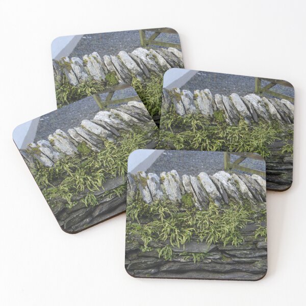 Item preview, Variety of Green Starburst Plants on Rock Wall designed and sold by Bobbi33.