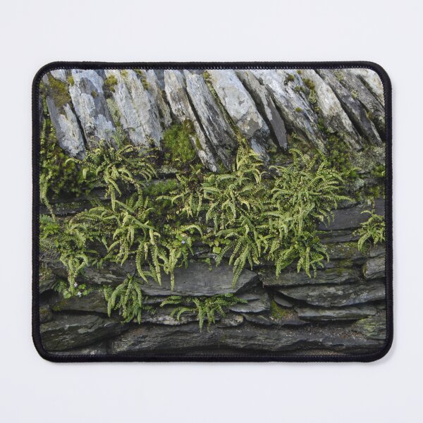 Item preview, Variety of Green Starburst Plants on Rock Wall designed and sold by Bobbi33.