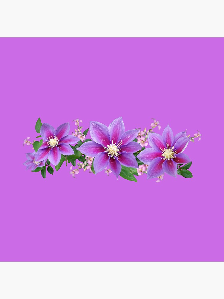 "Pretty Purple Flowers" Sticker for Sale by FobFan93 Redbubble