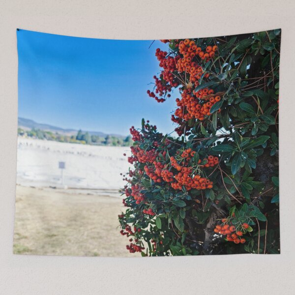 Item preview, Pamukkale Turkey photo 4 designed and sold by nastiaart.