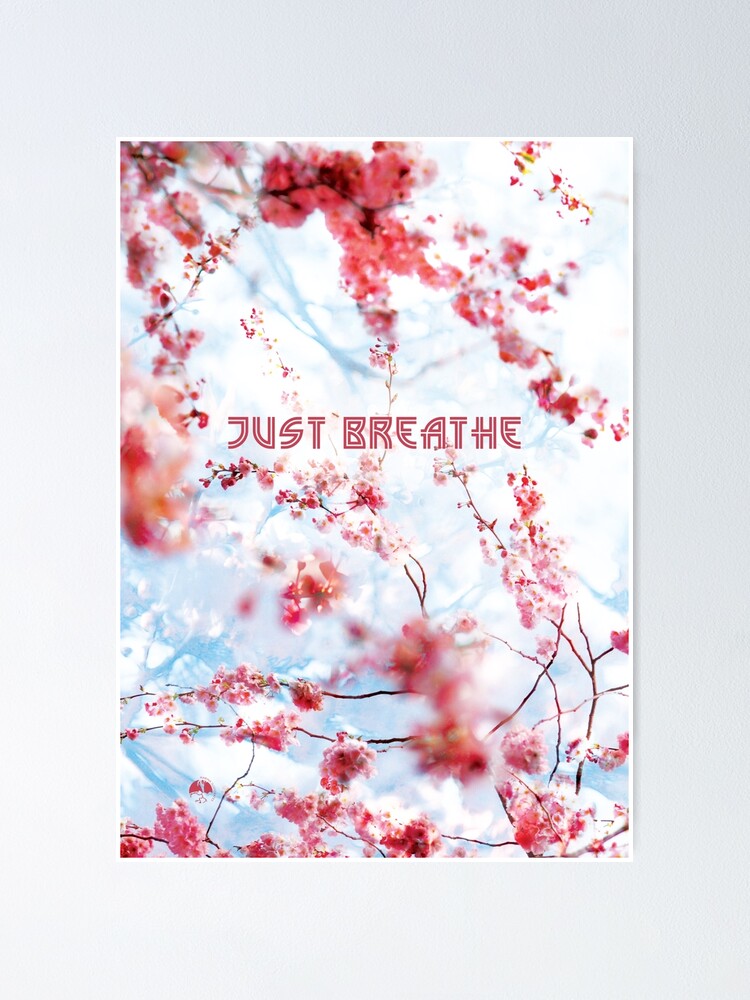 Alternate view of Just Breathe in the Cherry Blossoms  Poster