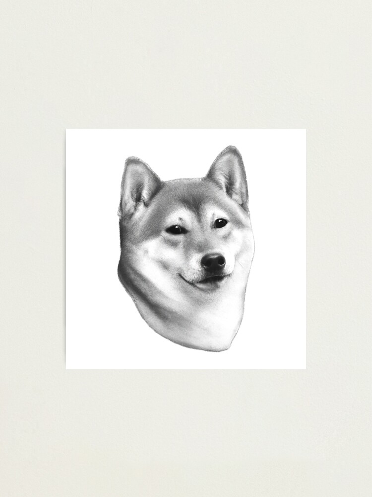 Shiba Inu Drawing Beautiful Dog Art Photographic Print