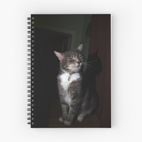 Item preview, Unconvinced cat designed and sold by turniptowers.