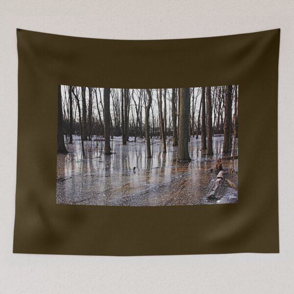 Item preview, Iced Pond designed and sold by Debbie Oppermann.