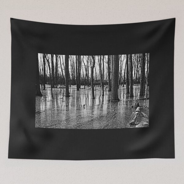 Item preview, Iced Pond Black And White designed and sold by Debbie Oppermann.