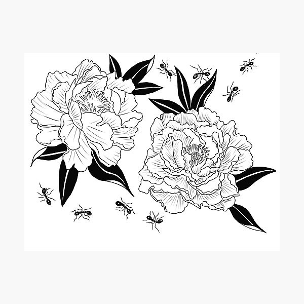 Item preview, Peonies and ants  designed and sold by Gia Catauro.