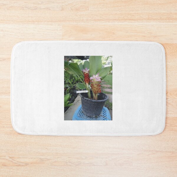 Item preview, Siam tulip is flowering plant, Curcuma sp. of the ginger family no. 11 designed and sold by greengoodnich.