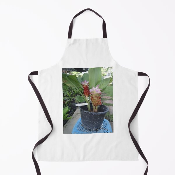 Item preview, Siam tulip is flowering plant, Curcuma sp. of the ginger family no. 11 designed and sold by greengoodnich.