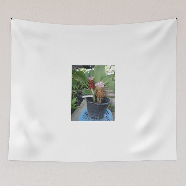 Item preview, Siam tulip is flowering plant, Curcuma sp. of the ginger family no. 11 designed and sold by greengoodnich.