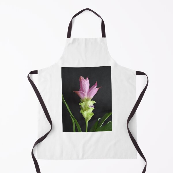 Item preview, Siam tulip is flowering plant, Curcuma sp. of the ginger family no. 13 designed and sold by greengoodnich.