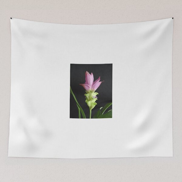 Item preview, Siam tulip is flowering plant, Curcuma sp. of the ginger family no. 13 designed and sold by greengoodnich.