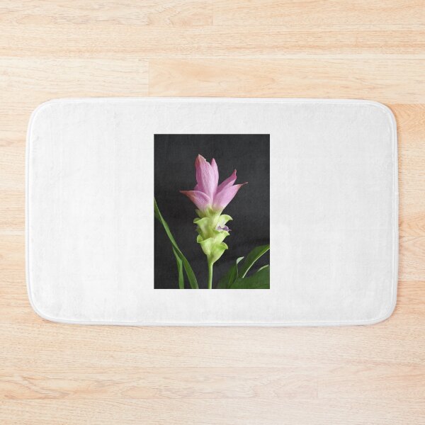 Item preview, Siam tulip is flowering plant, Curcuma sp. of the ginger family no. 13 designed and sold by greengoodnich.